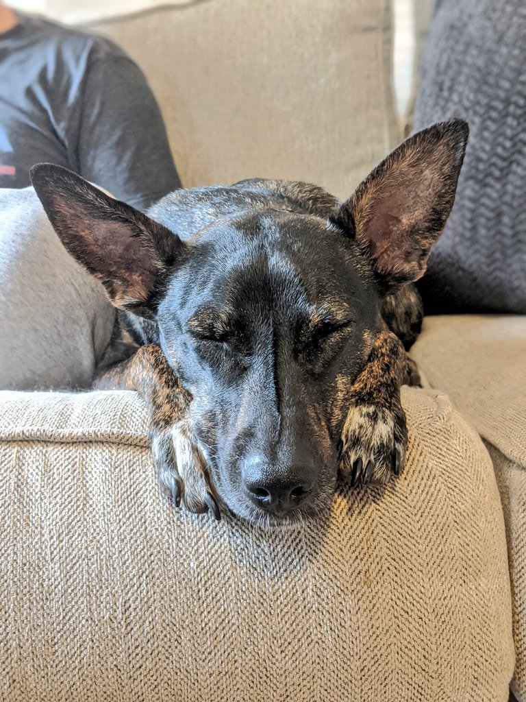 Meg Cathey tweet media