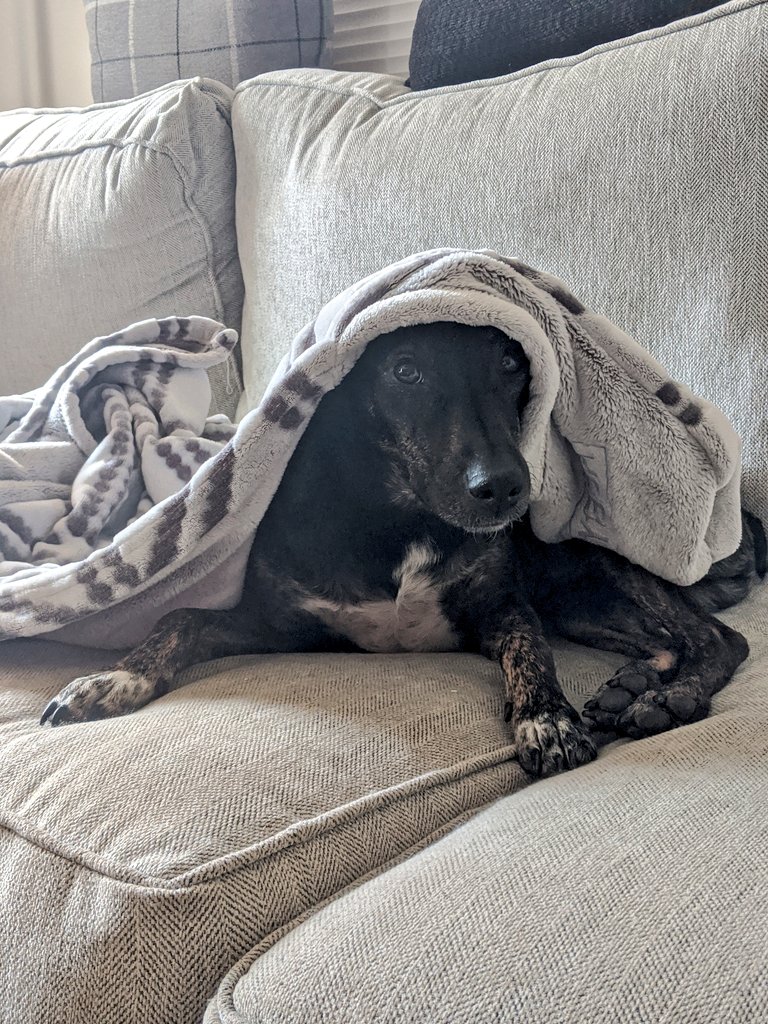 Meg Cathey tweet media