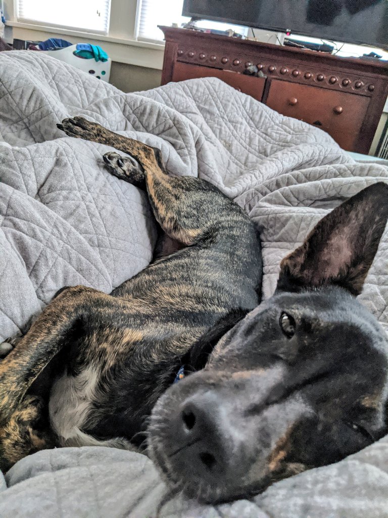 Meg Cathey tweet media