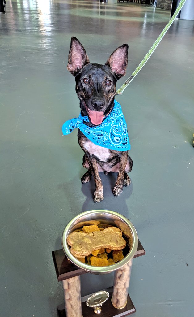 Meg Cathey tweet media