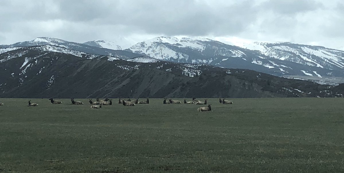 DaninAspen's tweet photo. Social Distancing? https://t.co/rd8b2lsZkN