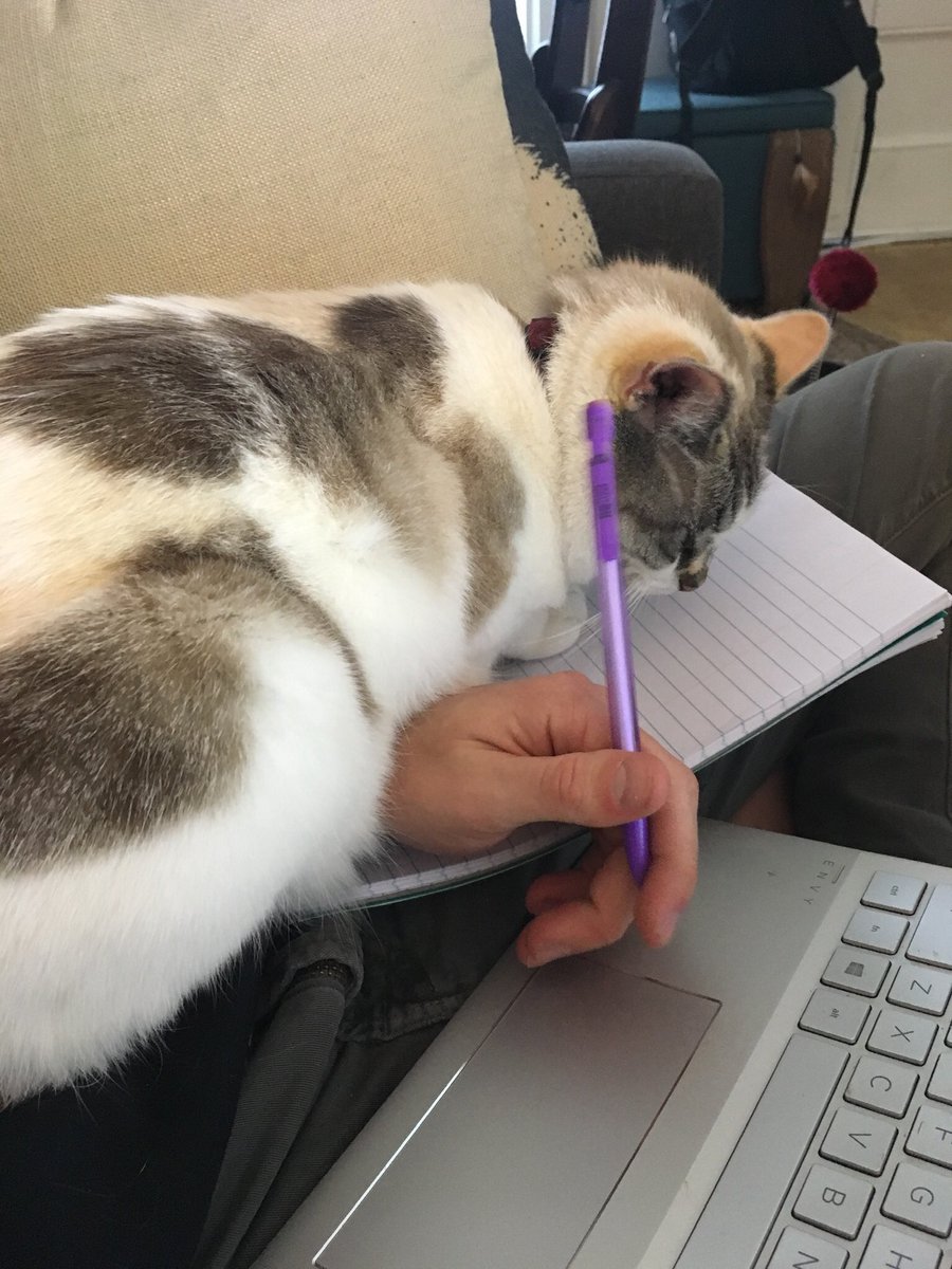 classy_sash's tweet photo. Helping. Study for finals. https://t.co/vzg7efUFe3