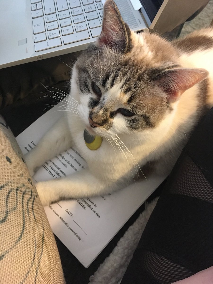 classy_sash's tweet photo. Helping. Study for finals. https://t.co/vzg7efUFe3