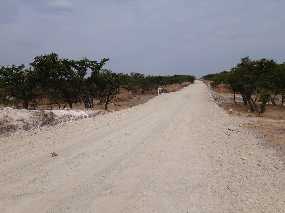 HAhuatempan's tweet photo. Rehabilitación Calle Morelos
#ContinuidadEsProgreso
#ahuatempan2020 https://t.co/RQuwZpyzga