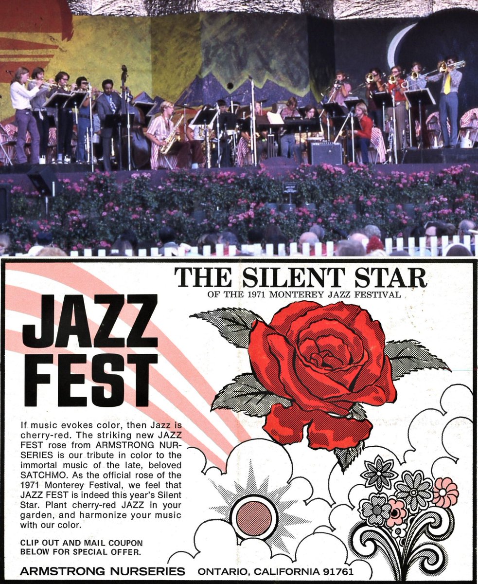 MontereyJazz's tweet photo. In 1971, a company in Southern California developed an official rose for MJF14 — the "Jazz Fest," in honor of Louis Armstrong! This rare color pic of the first Next Generation Jazz Orchestra that year shows the flowers in front of the Arena stage. #MJFhistory #NGJO https://t.co/GCG9gZBZDg
