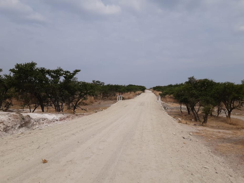HAhuatempan's tweet photo. Rehabilitación Calle Morelos
#ContinuidadEsProgreso
#ahuatempan2020 https://t.co/RQuwZpyzga