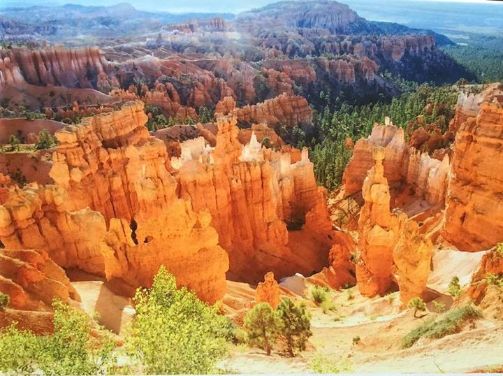 audleytravel's tweet photo. Which national park is your favourite? Audley traveller Liz Mason is voting for Bryce Canyon National Park, Utah πΈ Tell us your favourites in the comments below π #WindowWanderlust #theaudleyway https://t.co/ZYjG2cRH19