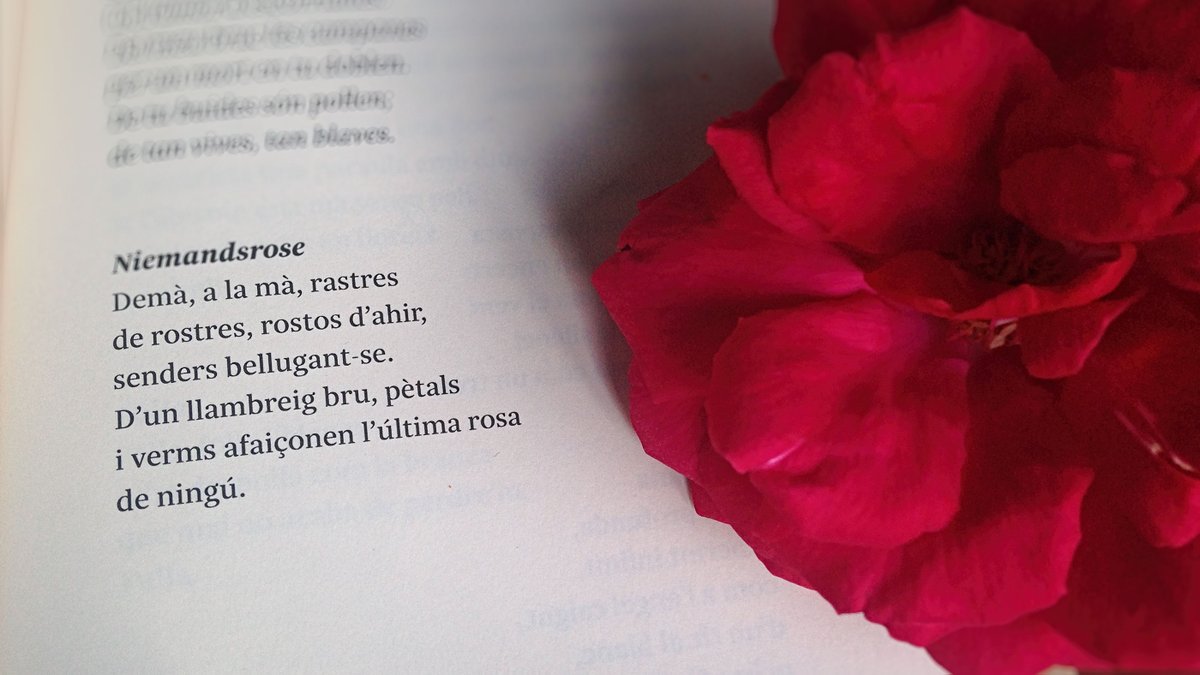 llambreig's tweet photo. Un no-res
érem, som, seguirem
essent,
la del no-res,
la rosa de ningú.
Paul CELAN
Trad Karen Müller i Andreu Vidal
En el 50 aniversari #avui de la mort de Celan, dues #Niemandsrose més: al llibre #Ira (Tanit, 2019) de @JordiSolColl2 i una altra al meu #Nectari (Buc, 2016) https://t.co/EuqSDyQGNb