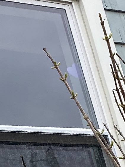 brianbaldizar's tweet image. Saw a few of these around town...@ClassicalHSPVD and #purplepridemondays Go Purple💜