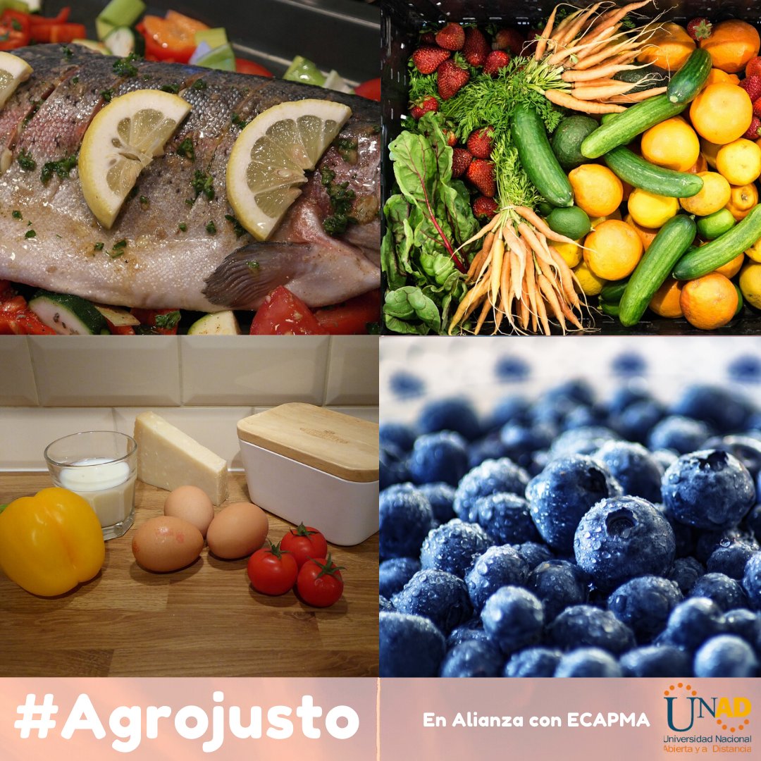 CAMPOUNAD tweet media