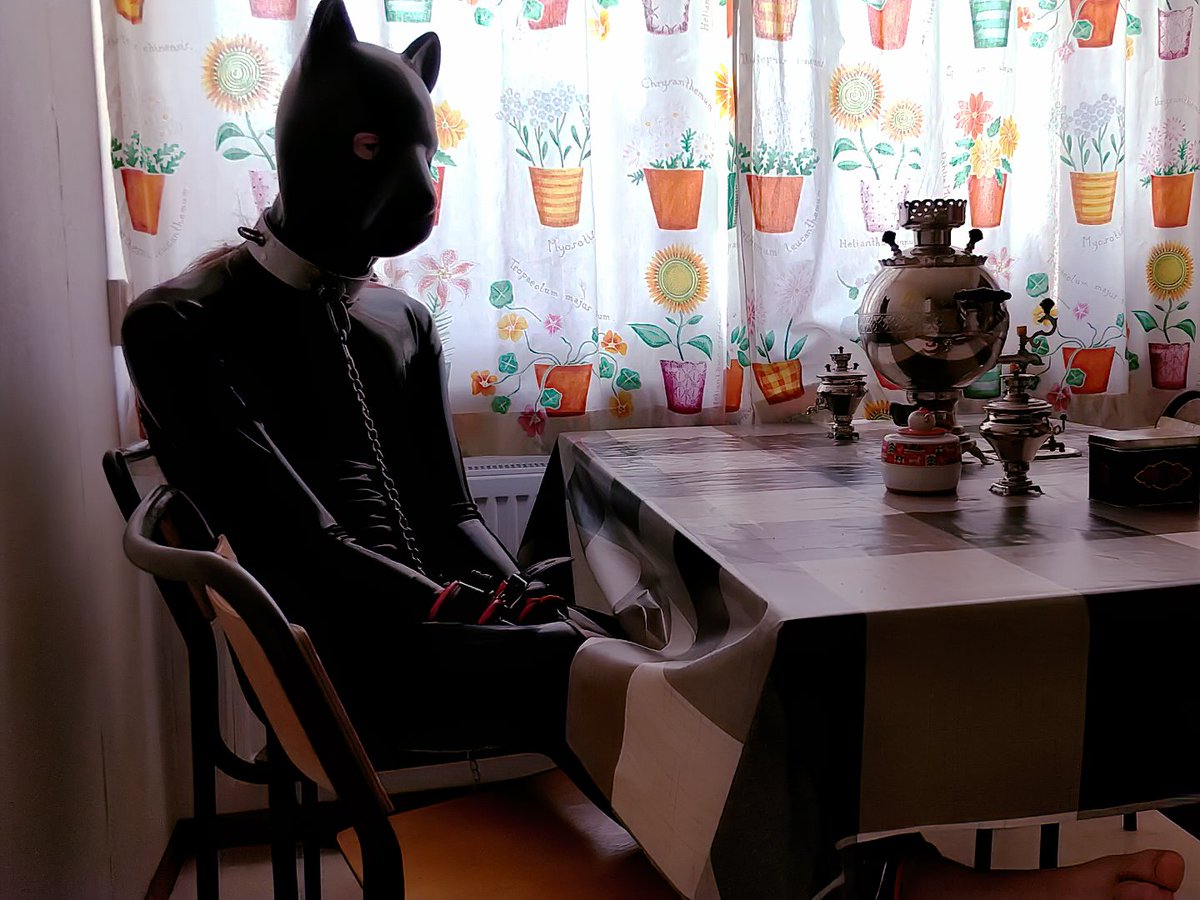 Restrained to keep from begging at the table
#rubber #petplay #rubberpup