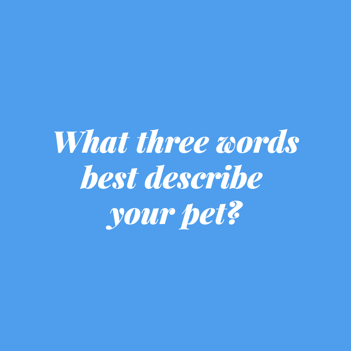PalaceVet's tweet photo. Cuddly, Funny, Sassy -- what makes your pet unique? https://t.co/5EWrDvD8Hm