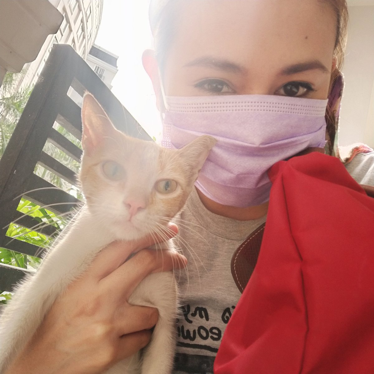 MuningKitty's tweet image. Meet my new friend - Menggay #CatsOfTheQuarantine #cats #Newport