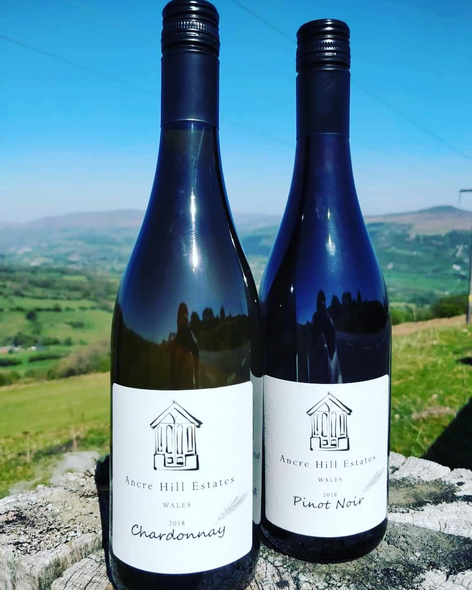 Chesters Wine on Twitter "Join us this Friday to celebrate the best of