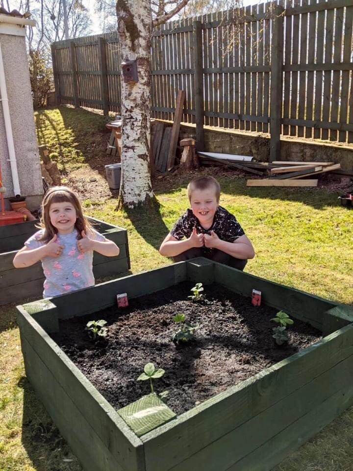 Simpsonsgarden's tweet photo. More awesome project work from our team at home - florist Lynn & family have been busy making raised beds which have been painted, filled with compost then planted with #GYO goodies! Well done Lynn, Thomas & Martha! π€©ππ₯π₯#GYO #MYO #LockdownGardening #MondayMotivation #Upclycle https://t.co/7hpXuDAAGB