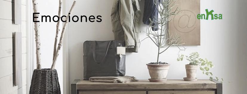 enKsa_online's tweet photo. Emociones #enksa. Esta semana te enseñaremos cómo repercuten nuestras emociones dentro de nuestra casa ¡Participa! 🏠💚 https://t.co/Zuf7YGpai2