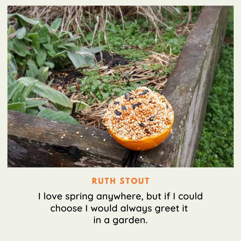 planttheseedtn's tweet photo. Don't forget to take a moment to greet Spring on this fine day. 🌷
#springgreetings #springishere #gardens https://t.co/L1EwtM6JYc