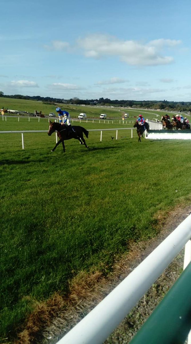 JoeSeward1's tweet photo. We should be in the Sunny South East racing @TramoreRaces tonight- the course that's played host to subsequent @CheltenhamRaces winners 
#AlBoomPhoto🏆
#SaintRoi🏇
#Penhill🏇
#Laurina 🏇
All Tramore winners
#HorseRacing 
#Tramore
#SunnySouthEast
#lockdown
#Waterford 
@damienwlr https://t.co/Q2TDAB5U1L