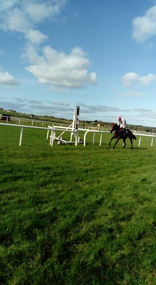 Tramore Racing We should be in the Sunny South East racing @TramoreRaces tonight- the ...