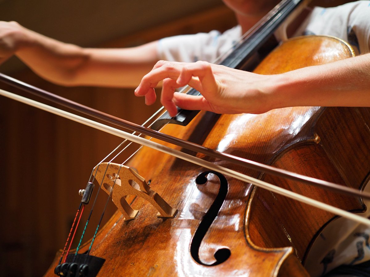 NLebrecht's tweet photo. Cellist, missing her cricket, goes viral
https://t.co/3Vva04zmo7 https://t.co/mWf4wCSJH0