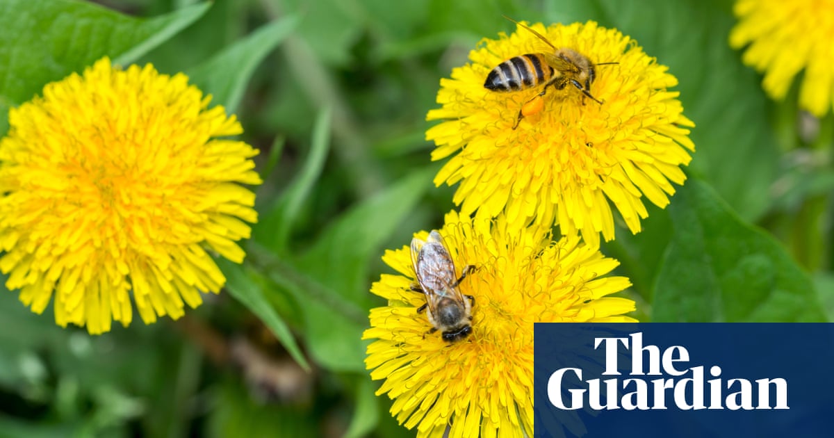 GSLawnCareUK's tweet photo. Many people have taken to gardening during lockdown to keep busy and to be out in the fresh air 🏡🌿

If you're new to gardening, be sure to check out this article! ⤵️

https://t.co/0l4ffW6be5

#gardening #lockdown #thingstodoinisolation #selfisolation https://t.co/WG4HFWtgVt