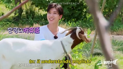 Things nct/wayv say that seem like fake subs but aren't — a compilation thread