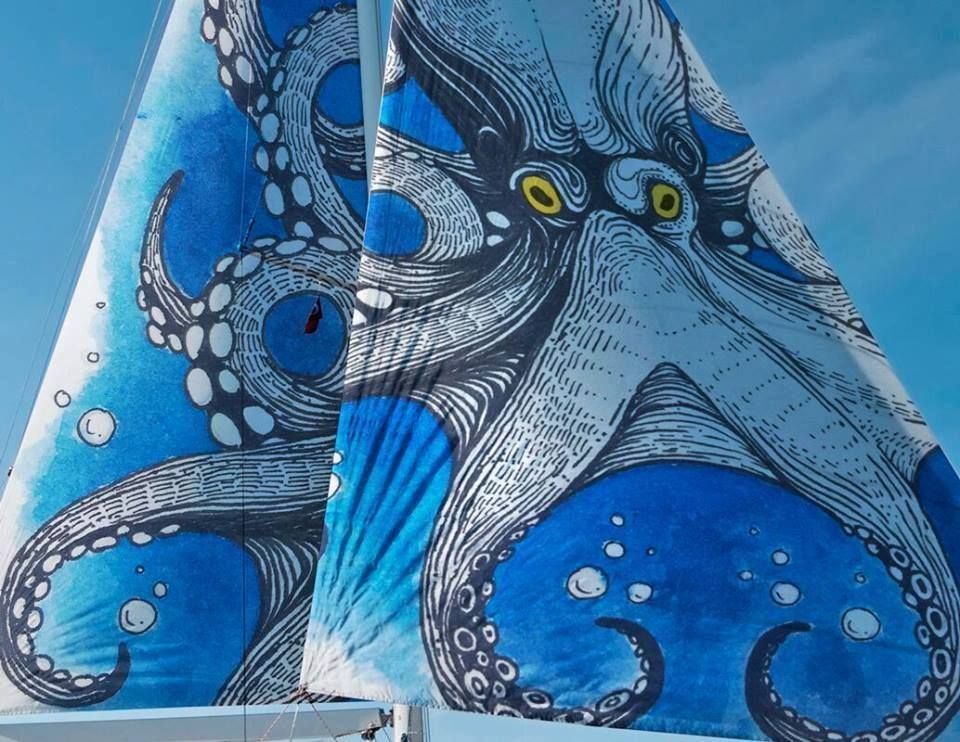 ImageSails's tweet photo. #ImageSails launches the world’s first seamless image hi-res #spinnaker, aptly titled La Creación (The Creation), from Cuban Painter Roniel Andrade! This changes everything! #Customize your #yacht or #advertise your company or event as never before. Anything you imagine. https://t.co/waQT9AhTwp