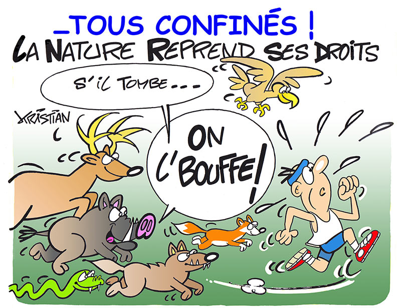 HumanSirk's tweet image. belle vie !