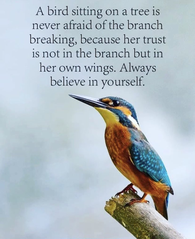 pauleyNW1's tweet photo. Always believe in yourself! #PTBM #PTBMWellnessWeek @NorthwoodES @MarysvilleEVSD https://t.co/QbDwrYLWUX