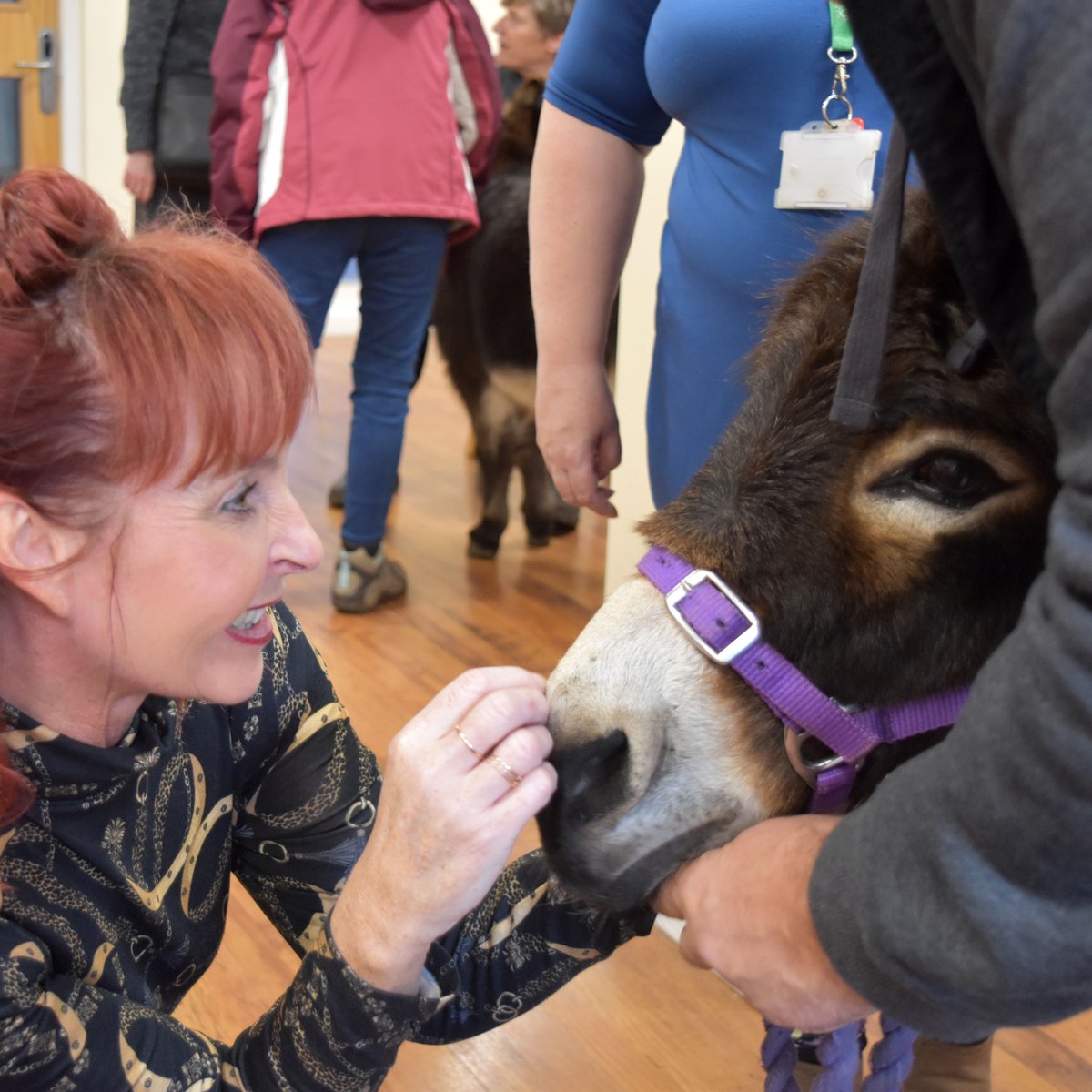 Come and work with us! (although we don't always have donkey visits!) We have a vacancy for a Senior Support Worker at Highwater House, a dual diagnosis unit providing residential care for 22 adults with mental health and substance misuse issues bit.ly/2KwtcfX