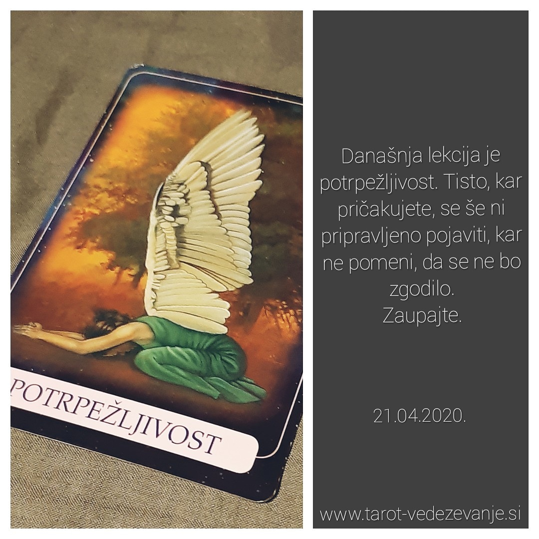 VedezevalecRok's tweet photo. Karta dneva za jutri, 21.04.2020. Nasvet prinašajo Indigo angeli.
Zaupate v angele?

🔮Vedeževalec Rok.
🕉https://t.co/RLfrsn9M9q https://t.co/aZA4dR2T6Y