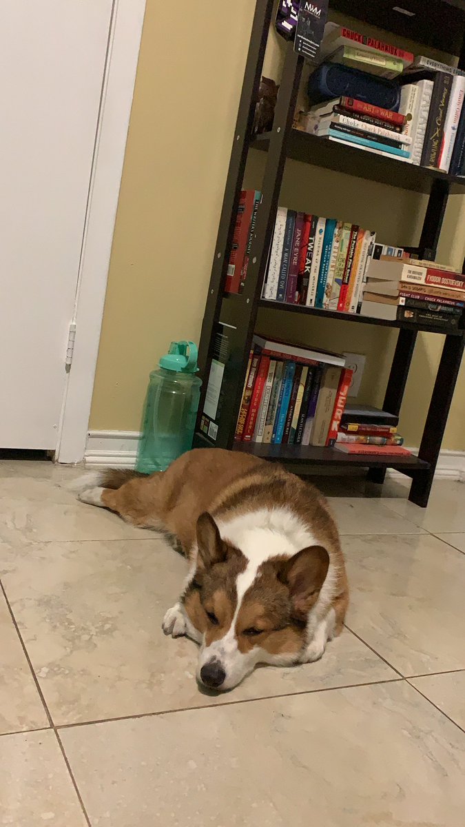 stephanie tweet media