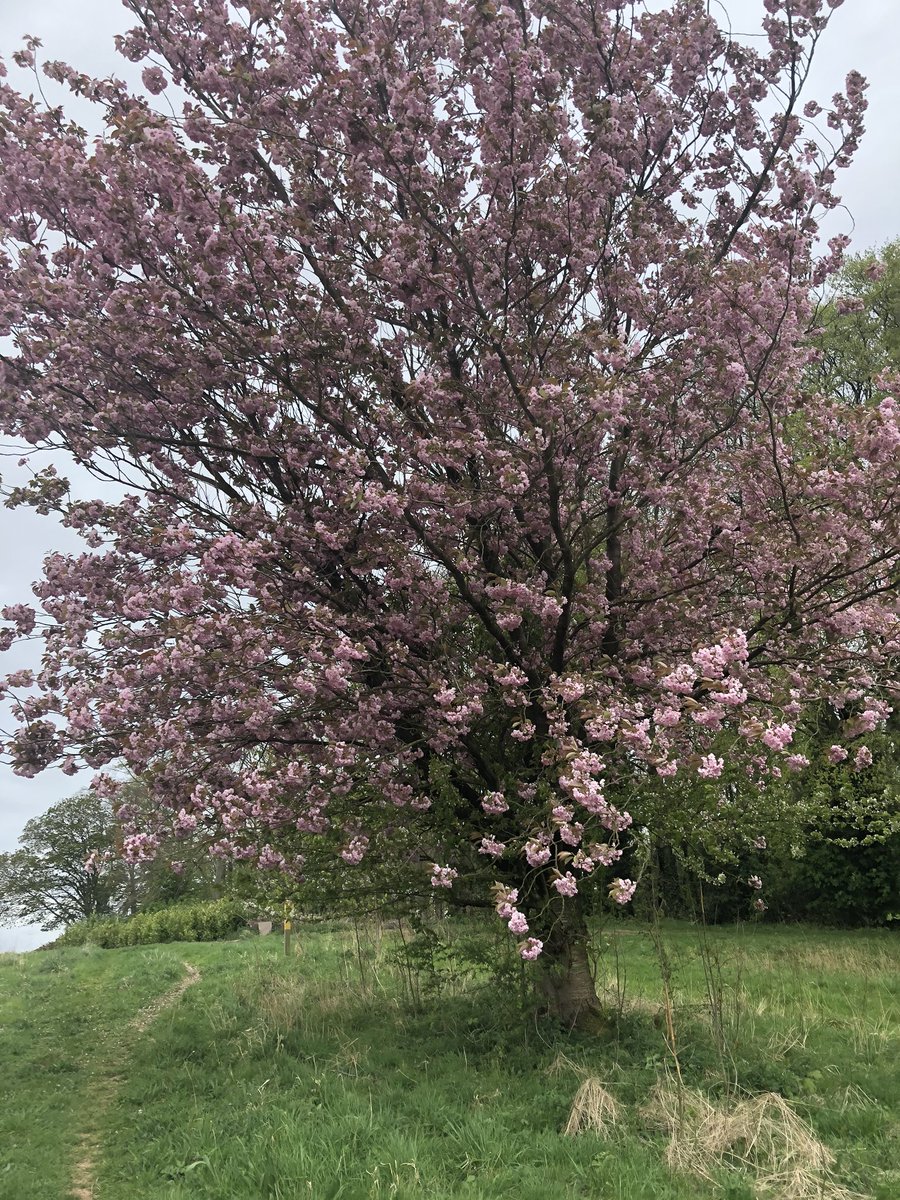 Beautiful spring views near me