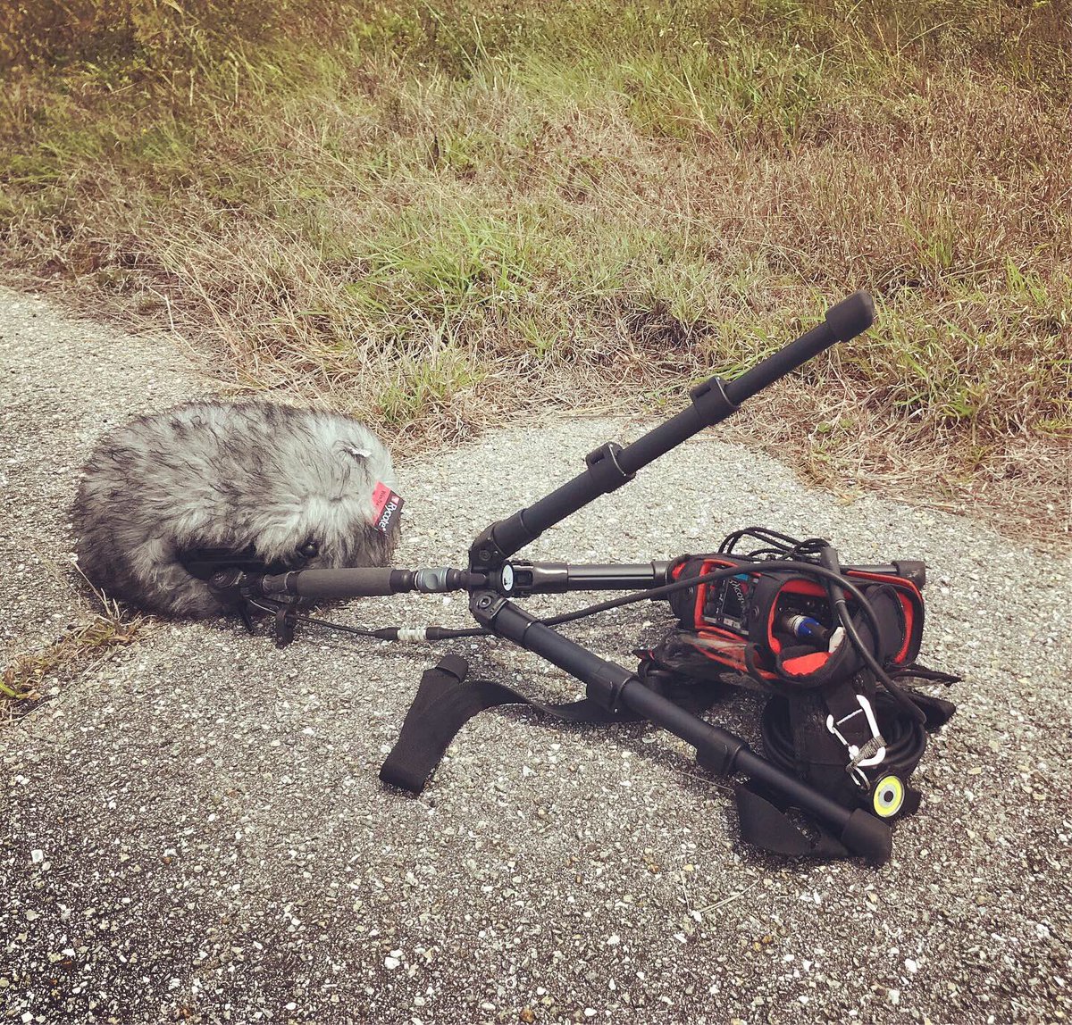 watsonwu's tweet photo. It’s sooooo windy today that I had to flatten the legs of my Slik Pro 500DXS tripod! Now my #SoundfieldSPS200 #ambisonic mic won’t fall over, LOL!! 🤣
.
#microphone #soundeffects #ambience #sounddesign #slikpro500dxs #ktekstingray #designingsound #rycotecyclone #traveler https://t.co/gxHfgHKIsZ