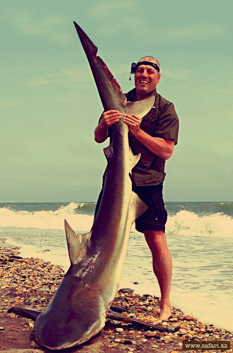 UniversalPRO3's tweet image. 