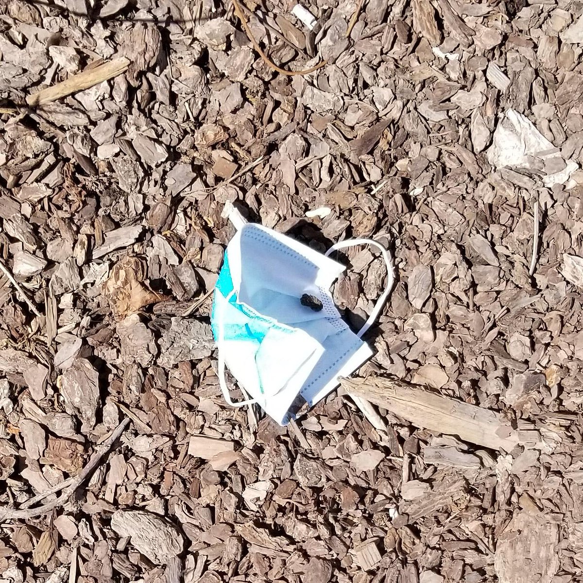 Don't do this on a good day. Really don't do it in the middle of a pandemic. The ground is covered in gloves and masks. People are dumb.