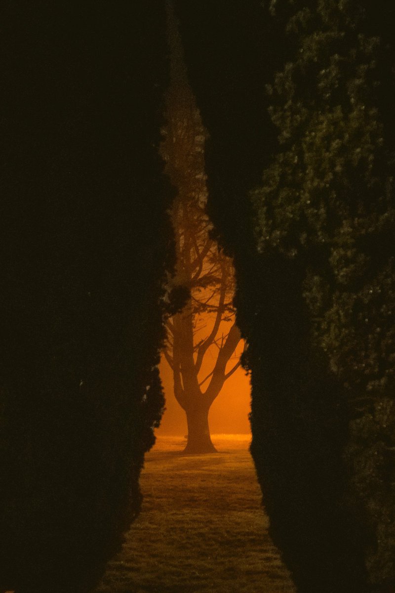 Simp Studios.™ tweet media