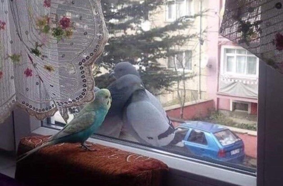 Kaç kadeh kırıldı şu minnoş gönlümde.