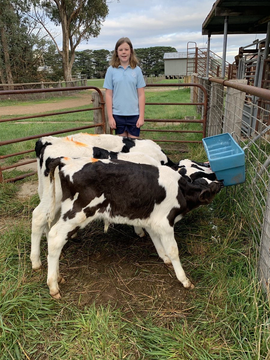 2Stacky's tweet image. Home School