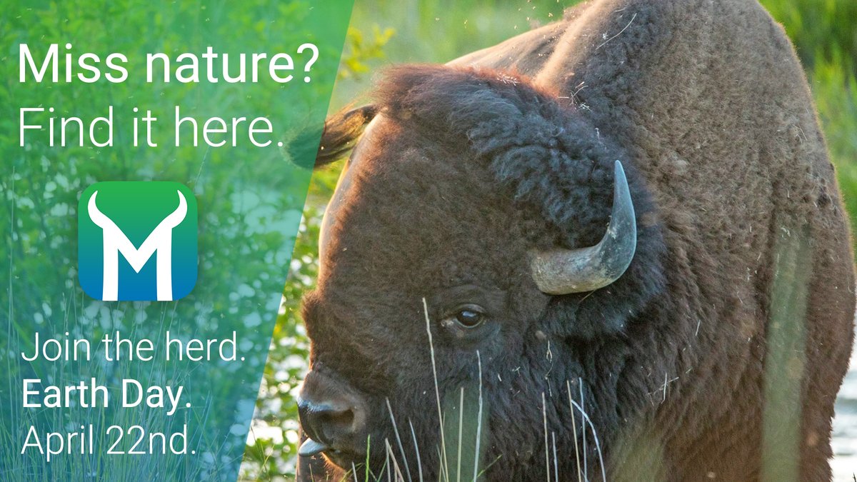 mammalzpbc's tweet image. This Wednesday! Head to the App Store and download the Mammalz App! Learn more at community.mammalz.com. 
#Mammalz #MondayThoughts #NatureAllDayEveryDay