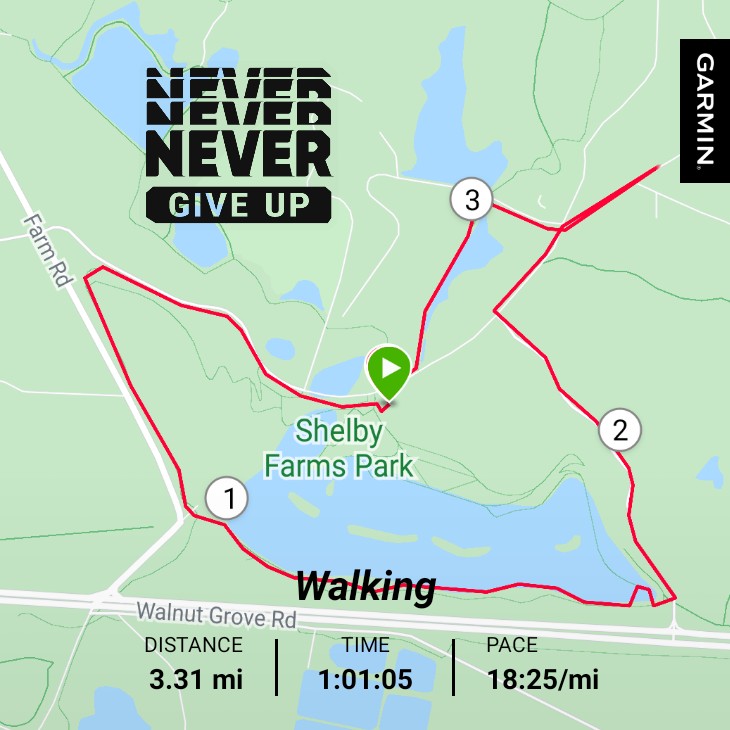 JGlassN2Math's tweet photo. Perfect weather to get outside for a walk! #garmin #beatyesterday #thankful #differentroute #GetMovingMemphis @MemRiverParks @GirlTrek https://t.co/5oOdtPyVUp