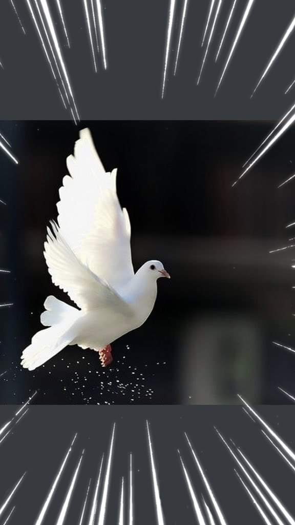 Manmonahmad1's tweet photo. {والطَّيرُ صافَّاتٍ كلٌّ قد علم صلاتَه وتسبيحَه}
لنأخذ من الطير عِبرة؛ فإن ارتفاعها وتحليقها لم يزدها إلا صلاةً وتسبيحاً، في حين كثيرٌ من الناس إذا ارتفع في الدنيا ازداد عُتوًّا وطُغيانًا، وغفلة وعصيانًا... https://t.co/gg6UIjXJRR