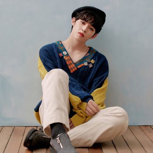 — SCOUPS/SEUNGCHEOL• SASAENGS:SCLAIR ( @scoups_svt)Breathless Moment ( @breathless_sc,  @1995scoups)MY MIRACLE ( @MM_SCOUPS)Coupchu ( @coupchu and @coupchuJP)• PROBLEMATIC FS:0808 ( @Because_0808)