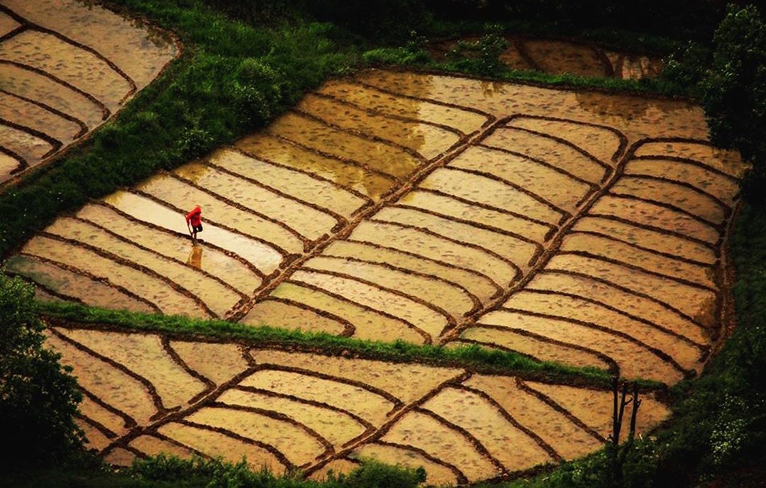 turkeypgraphers's tweet photo. Farmers giving life to soil
~
📸: Ömer Şahin
(Ig: https://t.co/QCzZaRhJD3) https://t.co/4LVdDlfqO4