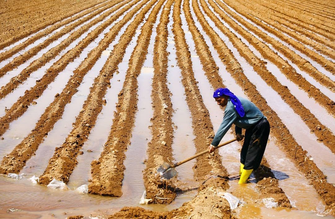 turkeypgraphers's tweet photo. Farmers giving life to soil
~
📸: Ömer Şahin
(Ig: https://t.co/QCzZaRhJD3) https://t.co/4LVdDlfqO4