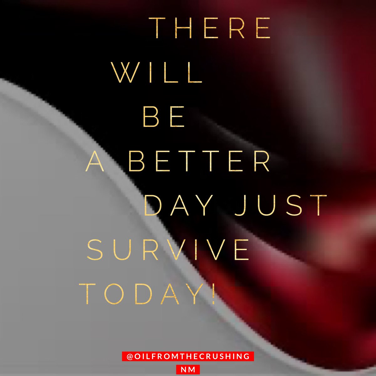 NitishaMoore's tweet image. There will be a better day! Until then manage this day in preparation. Don’t let tomorrow catch you unprepared.  

#motivation #inspiration #oilfromthecrushing #mindset