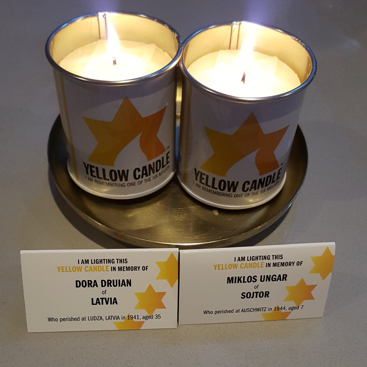 Dr Tamar Koch tweet media