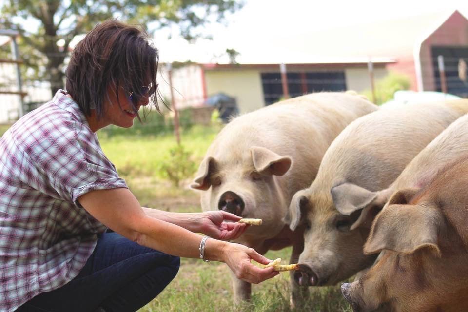 gofeastglobal's tweet photo. With Rabbit Ridge Farms, you know where your meat originates. @RabbitRidgeAR ships direct and offers curbside pick up to help keep you safe and healthy!
 Before you place your order, check out the Farm Club member benefits on https://t.co/U51rEVwvbK and access special savings! https://t.co/DyN8hS94Tc