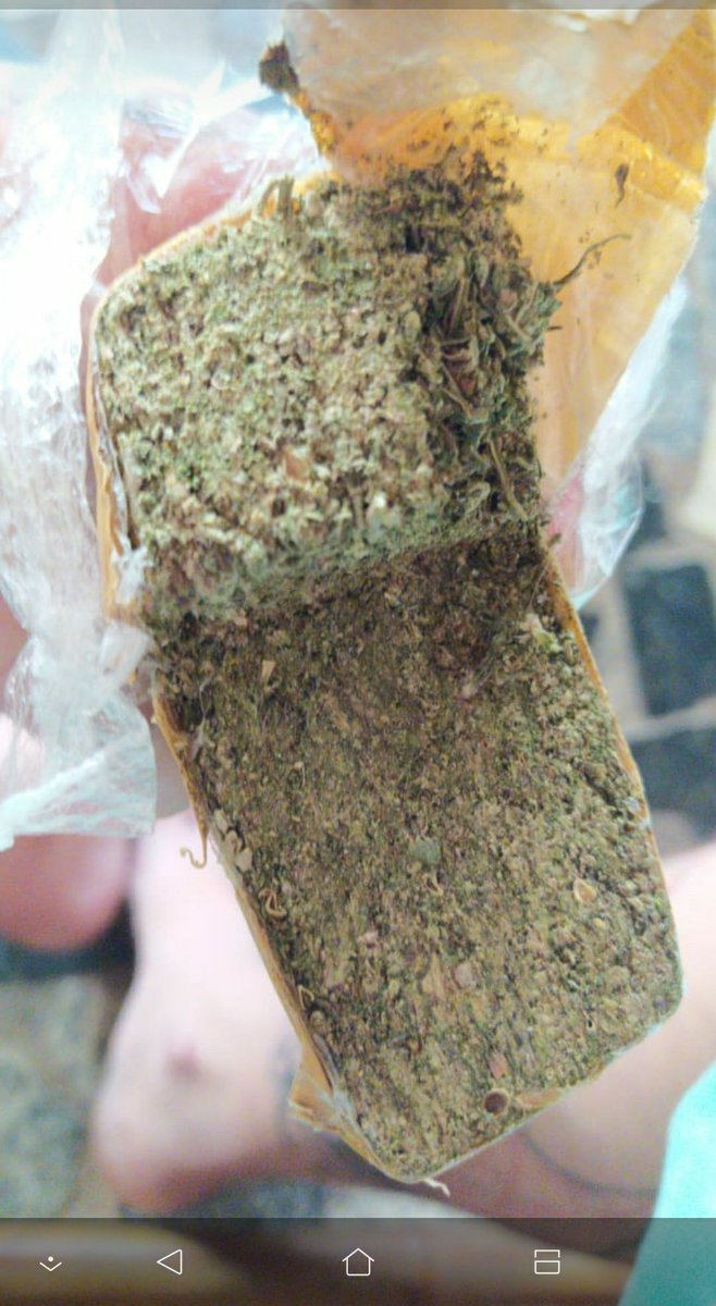 caraifoimal's tweet image. #Baseadoemfatos fogo no verde caralho