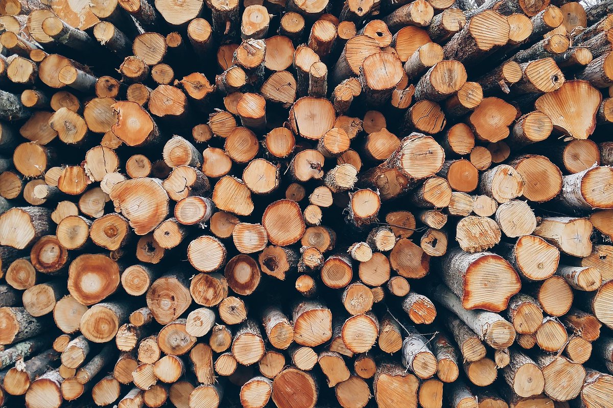 COStateFire's tweet photo. Quick tips for a #firewise property: Keep firewood, propane tanks, and other flammables at least 30 feet from your home. You can make a difference preventing and preparing for wildfire on your property and in your community! #FireAdaptedColorado #WildfirePrep https://t.co/Zs8o15kmtg